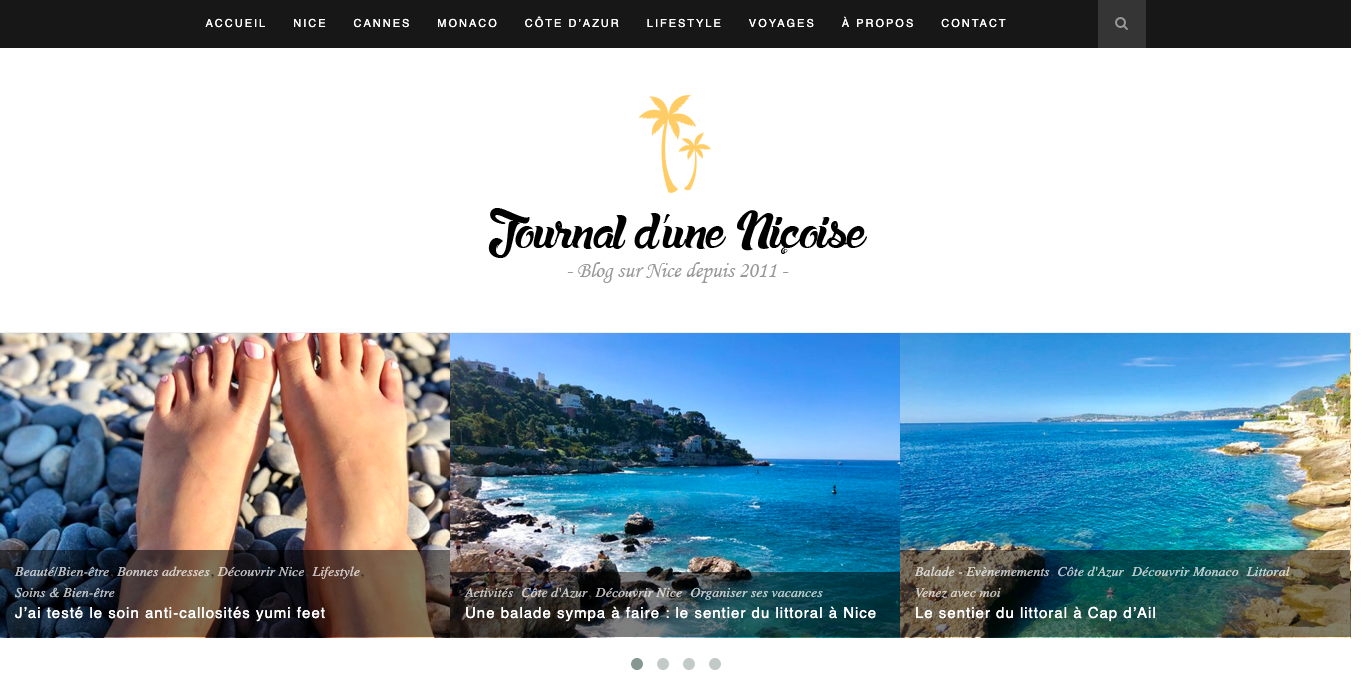 journaldunenicoise.com