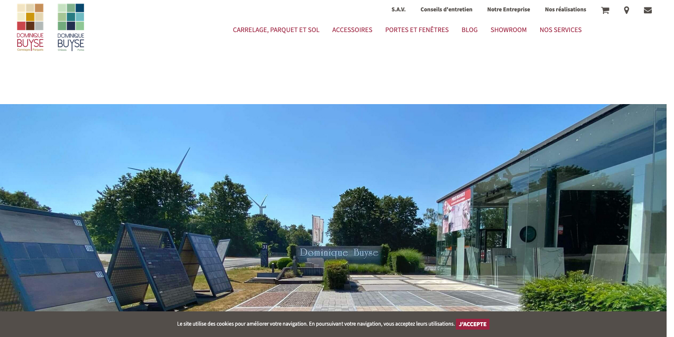 dominiquebuyse.eu